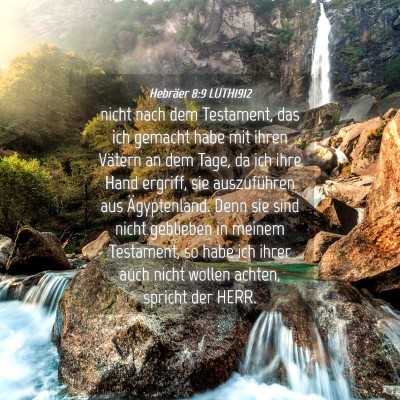 Picture 04 - Hebräer 8:9 LUTH1912 - nicht nach dem Testament, das ich gemacht habe - Bible Verse Picture