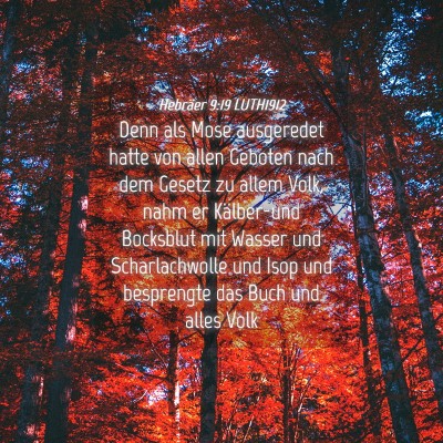 Picture 04 - Hebräer 9:19 LUTH1912 - Denn als Mose ausgeredet hatte von allen Geboten - Bible Verse Picture