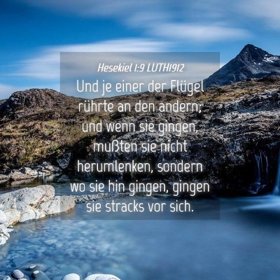 Picture 04 - Hesekiel 1:9 LUTH1912 - Und je einer der Flügel rührte an den andern; - Bible Verse Picture