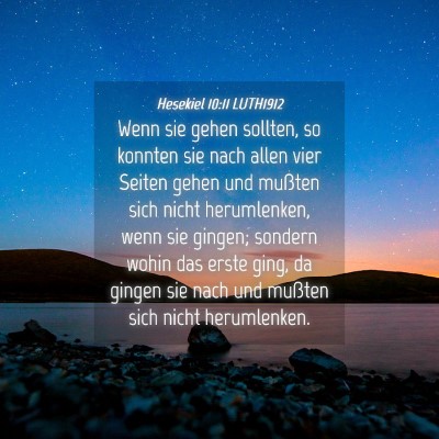 Picture 04 - Hesekiel 10:11 LUTH1912 - Wenn sie gehen sollten, so konnten sie nach allen - Bible Verse Picture