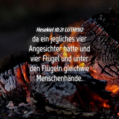Picture 04 - Hesekiel 10:21 LUTH1912 - da ein jegliches vier Angesichter hatte und vier - Bible Verse Picture