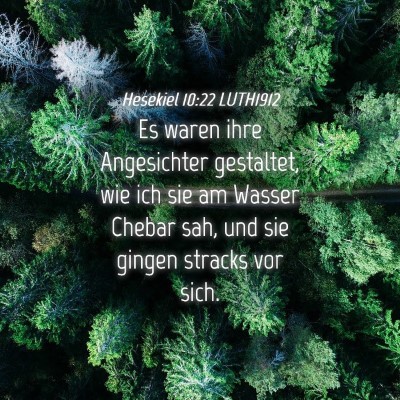 Picture 04 - Hesekiel 10:22 LUTH1912 - Es waren ihre Angesichter gestaltet, wie ich sie - Bible Verse Picture