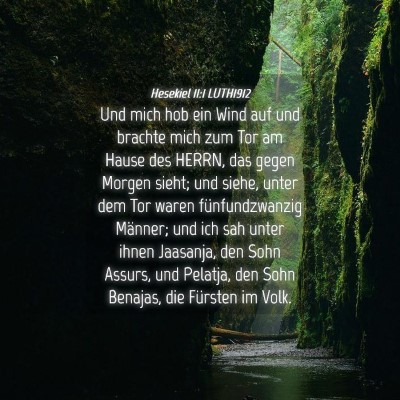 Picture 04 - Hesekiel 11:1 LUTH1912 - Und mich hob ein Wind auf und brachte mich zum - Bible Verse Picture