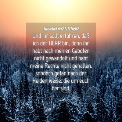 Picture 04 - Hesekiel 11:12 LUTH1912 - Und ihr sollt erfahren, daß ich der HERR bin; - Bible Verse Picture