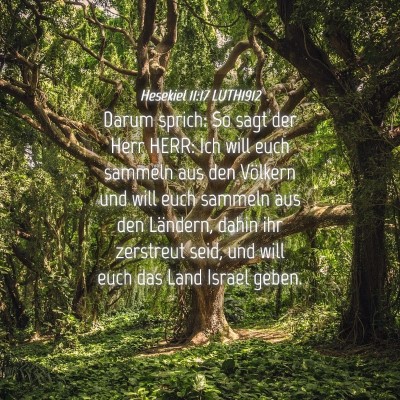 Picture 04 - Hesekiel 11:17 LUTH1912 - Darum sprich: So sagt der Herr HERR: Ich will - Bible Verse Picture