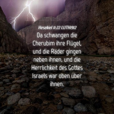 Picture 04 - Hesekiel 11:22 LUTH1912 - Da schwangen die Cherubim ihre Flügel, und die - Bible Verse Picture
