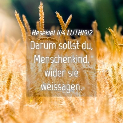 Picture 04 - Hesekiel 11:4 LUTH1912 - Darum sollst du, Menschenkind, wider sie - Bible Verse Picture