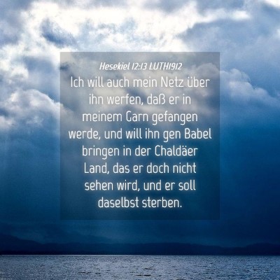 Picture 04 - Hesekiel 12:13 LUTH1912 - Ich will auch mein Netz über ihn werfen, daß er - Bible Verse Picture