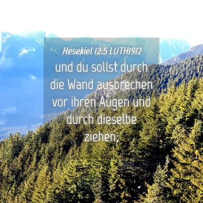 Picture 04 - Hesekiel 12:5 LUTH1912 - und du sollst durch die Wand ausbrechen vor ihren - Bible Verse Picture