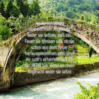 Picture 04 - Hesekiel 15:7 LUTH1912 - und will mein Angesicht wider sie setzen, daß - Bible Verse Picture