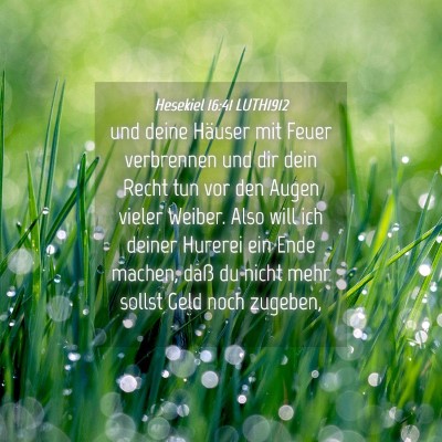 Picture 04 - Hesekiel 16:41 LUTH1912 - und deine Häuser mit Feuer verbrennen und dir - Bible Verse Picture