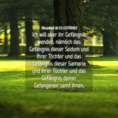 Picture 04 - Hesekiel 16:53 LUTH1912 - Ich will aber ihr Gefängnis wenden, nämlich das - Bible Verse Picture