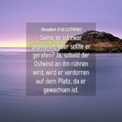Picture 04 - Hesekiel 17:10 LUTH1912 - Siehe, er ist zwar gepflanzt; aber sollte er - Bible Verse Picture