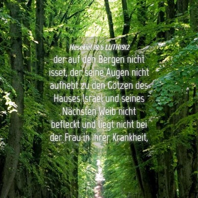 Picture 04 - Hesekiel 18:6 LUTH1912 - der auf den Bergen nicht isset, der seine Augen - Bible Verse Picture
