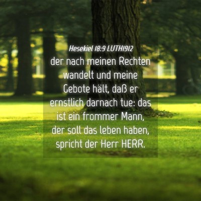 Picture 04 - Hesekiel 18:9 LUTH1912 - der nach meinen Rechten wandelt und meine Gebote - Bible Verse Picture