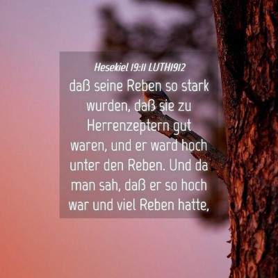 Picture 04 - Hesekiel 19:11 LUTH1912 - daß seine Reben so stark wurden, daß sie zu - Bible Verse Picture
