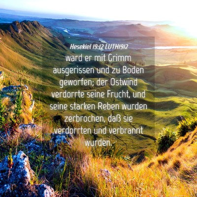 Picture 04 - Hesekiel 19:12 LUTH1912 - ward er mit Grimm ausgerissen und zu Boden - Bible Verse Picture