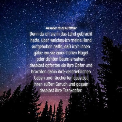 Picture 04 - Hesekiel 20:28 LUTH1912 - Denn da ich sie in das Land gebracht hatte, über - Bible Verse Picture