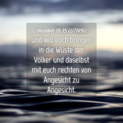 Picture 04 - Hesekiel 20:35 LUTH1912 - und will euch bringen in die Wüste der Völker - Bible Verse Picture