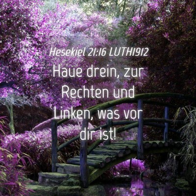 Picture 04 - Hesekiel 21:16 LUTH1912 - Haue drein, zur Rechten und Linken, was vor dir - Bible Verse Picture