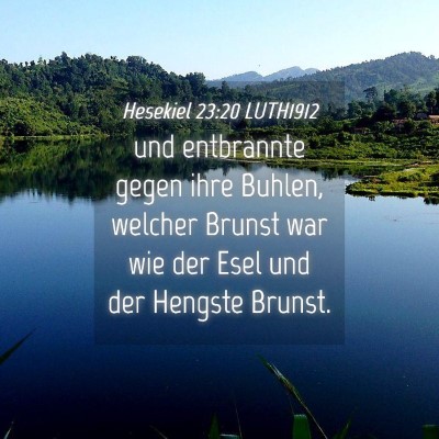 Picture 04 - Hesekiel 23:20 LUTH1912 - und entbrannte gegen ihre Buhlen, welcher Brunst - Bible Verse Picture