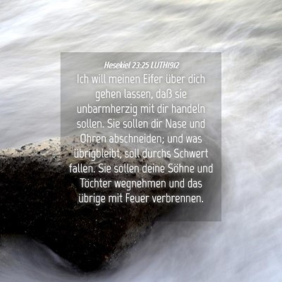 Picture 04 - Hesekiel 23:25 LUTH1912 - Ich will meinen Eifer über dich gehen lassen, - Bible Verse Picture