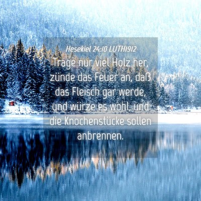 Picture 04 - Hesekiel 24:10 LUTH1912 - Trage nur viel Holz her, zünde das Feuer an, - Bible Verse Picture
