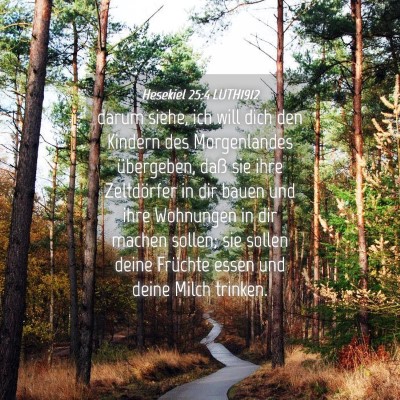 Picture 04 - Hesekiel 25:4 LUTH1912 - darum siehe, ich will dich den Kindern des - Bible Verse Picture
