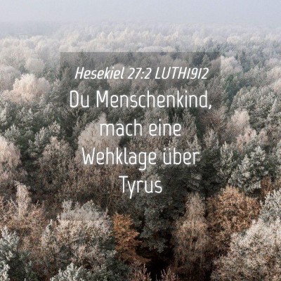 Picture 04 - Hesekiel 27:2 LUTH1912 - Du Menschenkind, mach eine Wehklage über - Bible Verse Picture