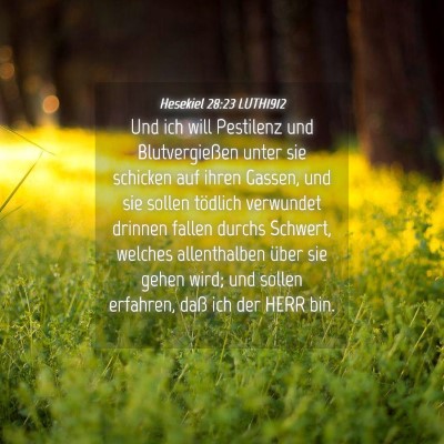 Picture 04 - Hesekiel 28:23 LUTH1912 - Und ich will Pestilenz und Blutvergießen unter - Bible Verse Picture