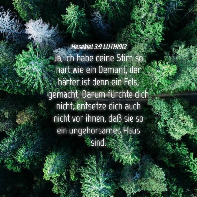 Picture 04 - Hesekiel 3:9 LUTH1912 - Ja, ich habe deine Stirn so hart wie ein Demant, - Bible Verse Picture