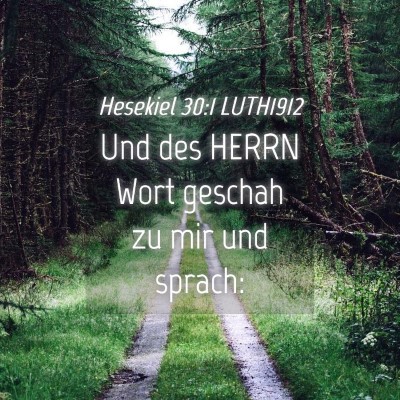 Picture 04 - Hesekiel 30:1 LUTH1912 - Und des HERRN Wort geschah zu mir und - Bible Verse Picture