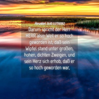 Picture 04 - Hesekiel 31:10 LUTH1912 - Darum spricht der Herr HERR also: Weil er so hoch - Bible Verse Picture