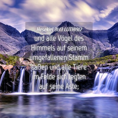 Picture 04 - Hesekiel 31:13 LUTH1912 - und alle Vögel des Himmels auf seinem - Bible Verse Picture