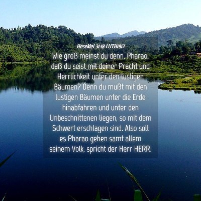Picture 04 - Hesekiel 31:18 LUTH1912 - Wie groß meinst du denn, Pharao, daß du seist - Bible Verse Picture