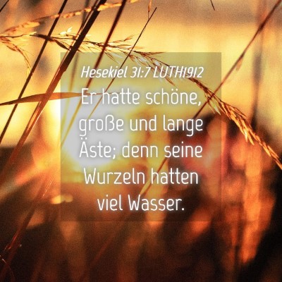 Picture 04 - Hesekiel 31:7 LUTH1912 - Er hatte schöne, große und lange Äste; denn - Bible Verse Picture
