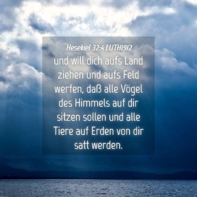 Picture 04 - Hesekiel 32:4 LUTH1912 - und will dich aufs Land ziehen und aufs Feld - Bible Verse Picture
