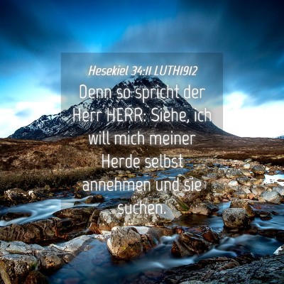 Picture 04 - Hesekiel 34:11 LUTH1912 - Denn so spricht der Herr HERR: Siehe, ich will - Bible Verse Picture