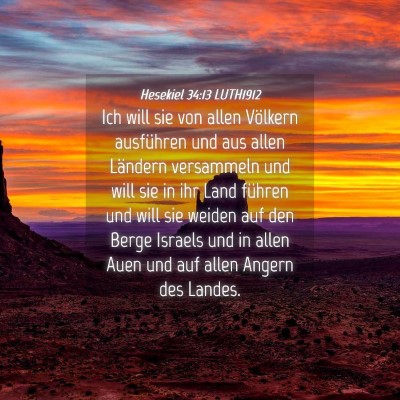 Picture 04 - Hesekiel 34:13 LUTH1912 - Ich will sie von allen Völkern ausführen und - Bible Verse Picture
