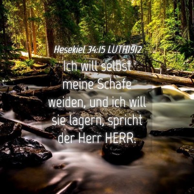 Picture 04 - Hesekiel 34:15 LUTH1912 - Ich will selbst meine Schafe weiden, und ich will - Bible Verse Picture
