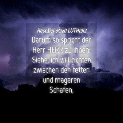 Picture 04 - Hesekiel 34:20 LUTH1912 - Darum so spricht der Herr HERR zu ihnen: Siehe, - Bible Verse Picture