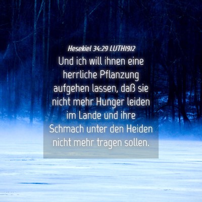 Picture 04 - Hesekiel 34:29 LUTH1912 - Und ich will ihnen eine herrliche Pflanzung - Bible Verse Picture