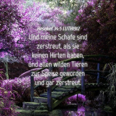 Picture 04 - Hesekiel 34:5 LUTH1912 - Und meine Schafe sind zerstreut, als sie keinen - Bible Verse Picture