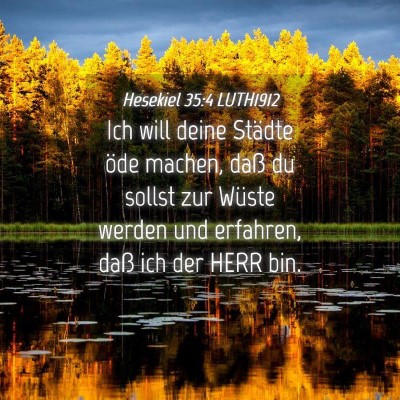 Picture 04 - Hesekiel 35:4 LUTH1912 - Ich will deine Städte öde machen, daß du - Bible Verse Picture