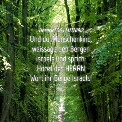 Picture 04 - Hesekiel 36:1 LUTH1912 - Und du, Menschenkind, weissage den Bergen Israels - Bible Verse Picture