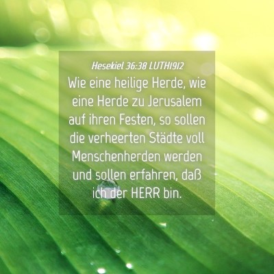Picture 04 - Hesekiel 36:38 LUTH1912 - Wie eine heilige Herde, wie eine Herde zu - Bible Verse Picture