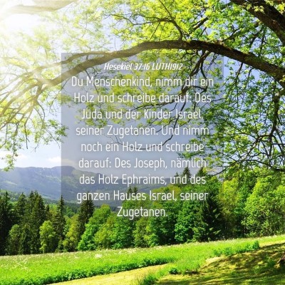 Picture 04 - Hesekiel 37:16 LUTH1912 - Du Menschenkind, nimm dir ein Holz und schreibe - Bible Verse Picture