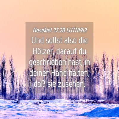Picture 04 - Hesekiel 37:20 LUTH1912 - Und sollst also die Hölzer, darauf du - Bible Verse Picture