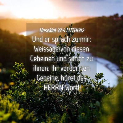 Picture 04 - Hesekiel 37:4 LUTH1912 - Und er sprach zu mir: Weissage von diesen - Bible Verse Picture