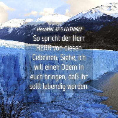 Picture 04 - Hesekiel 37:5 LUTH1912 - So spricht der Herr HERR von diesen Gebeinen: - Bible Verse Picture